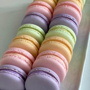 Macaron 6`Lı