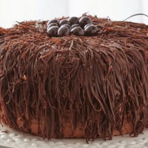 Siyah Saçaklı Pasta (8 kişilik )