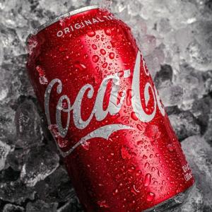 Coca Cola (33 cl.)