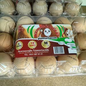 Gezen tavuk yumurtası