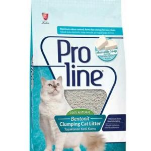 Kedi kumları 